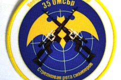 Стрелковая рота снайперов 35 ОМСБр Алейск